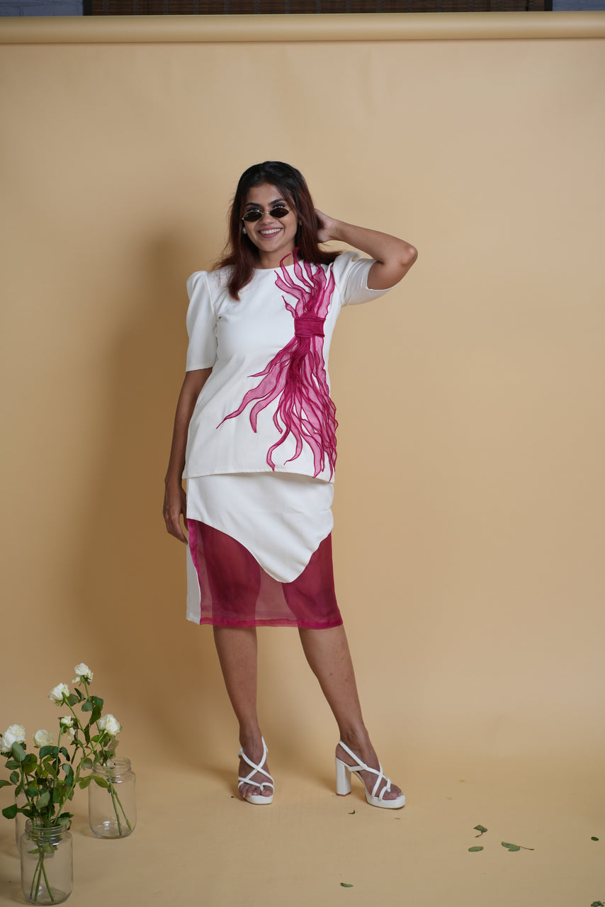 Hyacnith Skirt Top